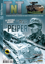 TnT33