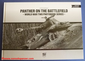 Panther on the Battlefield 01