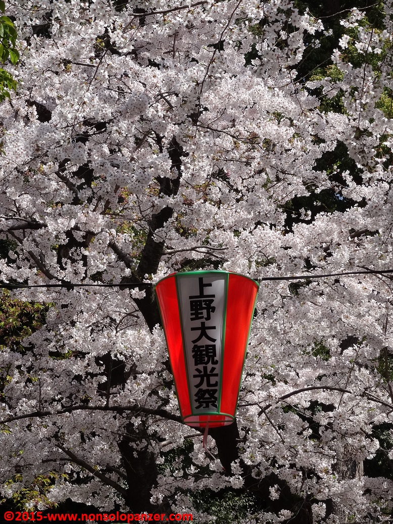 IL PARCO DI UENO         
