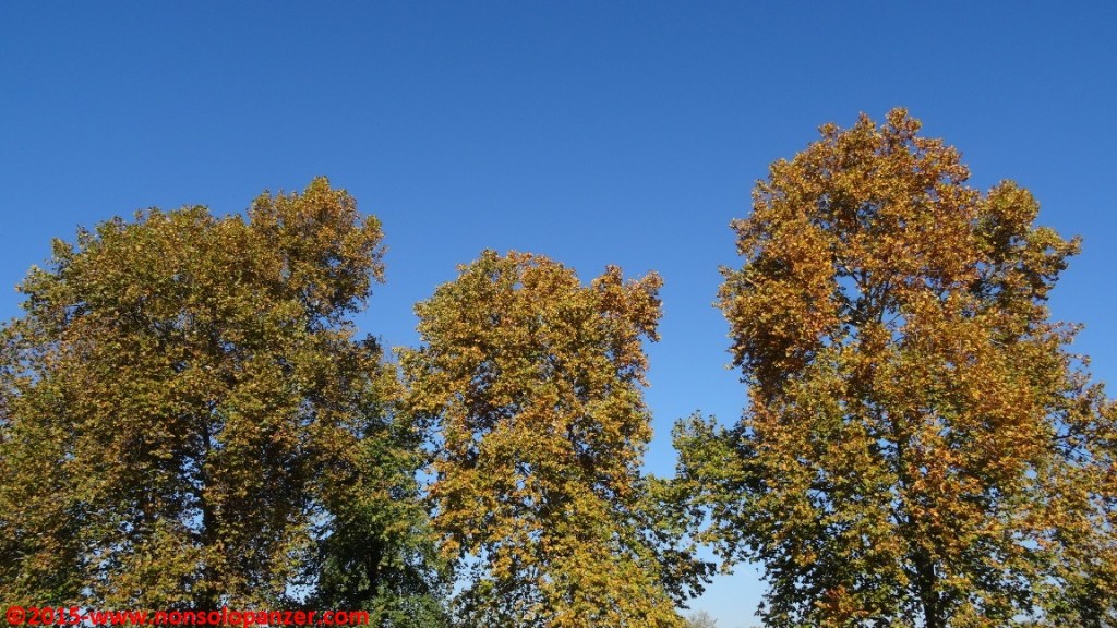 09 Autunno 2015