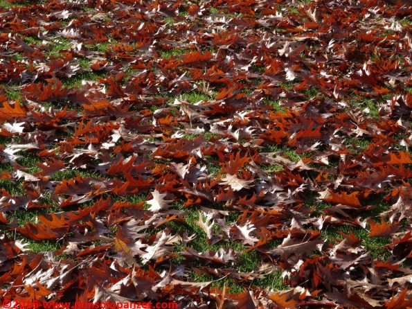 21-autunno-2016-casa