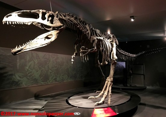 26 Dinosauri Giganti dell'Argentina