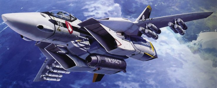 VF-1S