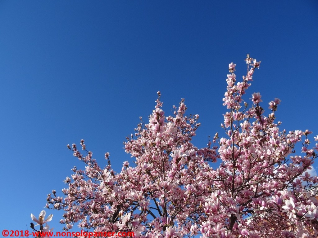 Spaparazzami questo! Marzo&nbsp;2018