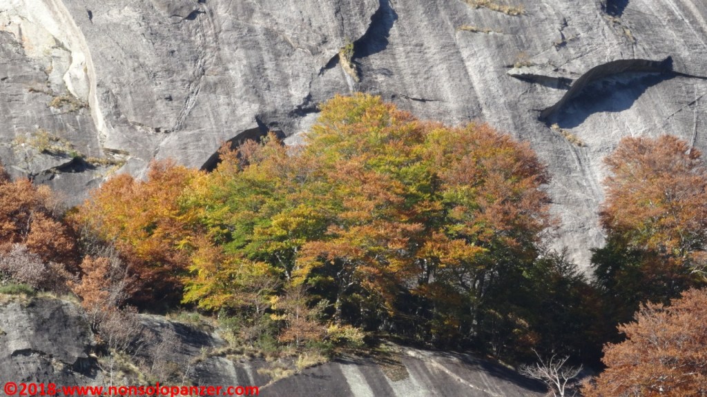 Spaparazzami questo! Val di Mello – Ottobre&nbsp;2018