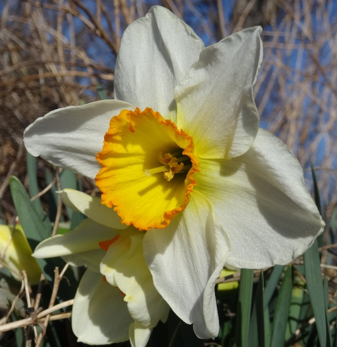 Sasso del Ferro – marzo&nbsp;2019