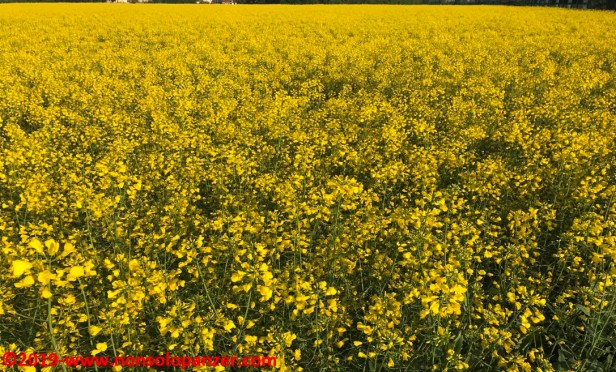 07 Primo Maggio 2019