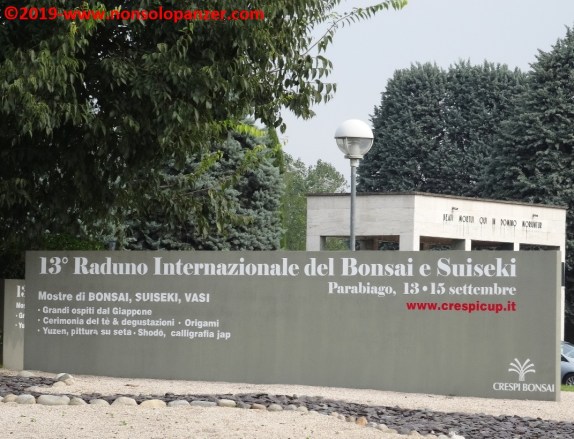 02 Raduno Internazionale Crespi