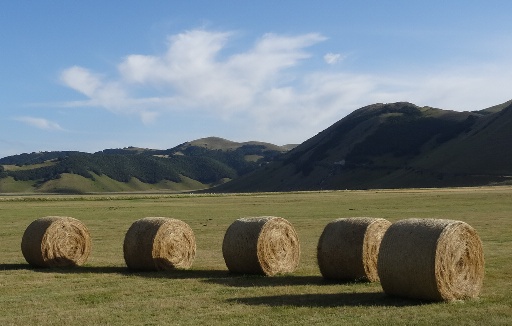 Marche by Bike Giorno 2 – Altopiano di Castelluccio di Norcia