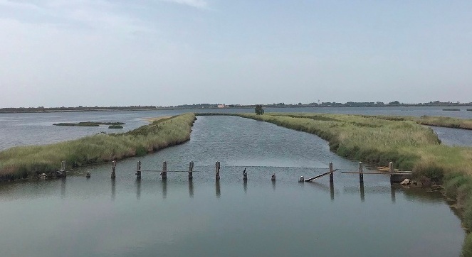 Cicloturismo sul Delta del Po – Giugno 2022